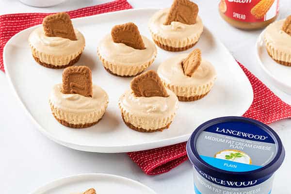 For the Love of Cheesecake Biscoff Cheesecake