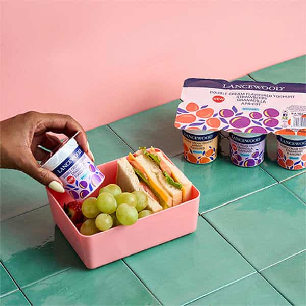 Creamy, Dreamy & Dairy: Discover Our Yoghurt Range Lancewood® flavoured yoghurt multi-packs packed in a healthy lunchbox - perfect for kids in South Africa.